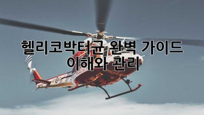 헬리코박터균 완벽 가이드: 이해와 관리